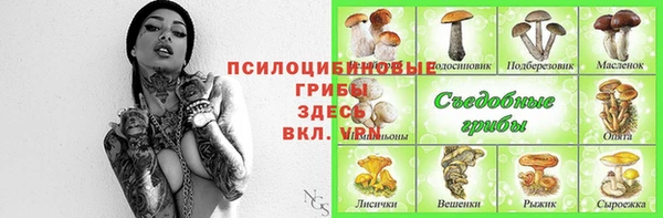 прущая мука Елабуга