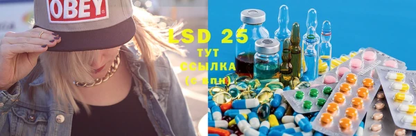 PSILOCYBIN Елизово