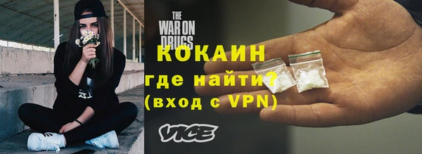 крисы Ельня