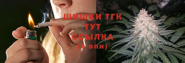 крисы Ельня
