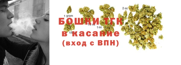 крисы Ельня
