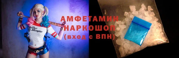 крисы Ельня