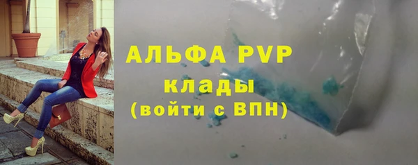 крисы Ельня
