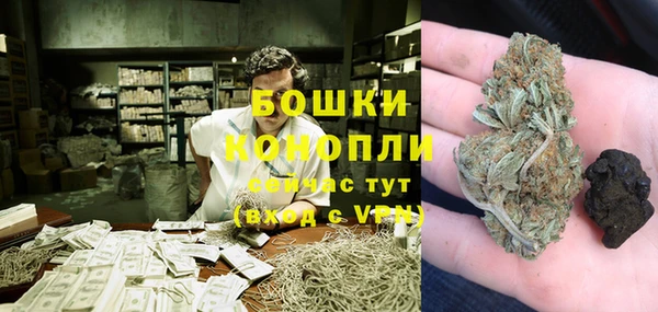 крисы Ельня