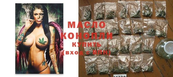 крисы Ельня
