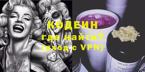 крисы Ельня