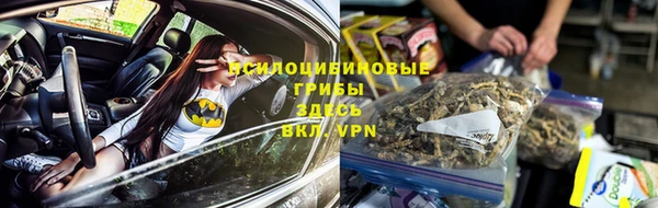 PSILOCYBIN Елизово