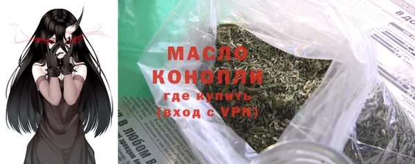 крисы Ельня