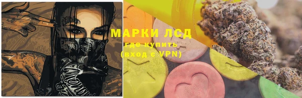 PSILOCYBIN Елизово